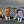 Олена Руденко