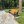 Женя Хамстер