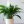 Влад Пєрязєв