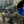 Валерій Пекар