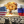 Микола Бєлєсков