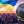 Олексій Макеєв