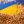 Юлія Закірова