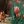 Анна Барабан