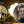 Вадим Михальченко