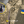 Євген Устименко
