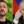 Геннадий Лубенец