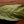Влад Пєрязєв