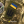 Євген Устименко