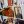 Юлія Крутякова