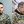 Тая Билан