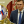 Марія Назарова