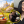 Вадим Михальченко