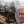 Владислава Коваль