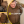 Євген Устименко