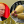 Антон Корж