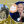 Владислава Коваль