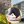 Женя Хамстер