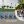 Катерина Шполянская