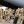Геннадий Лубенец