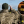 Каролина Терещенко