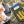 Каролина Терещенко