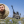 Дмитрий Кухарчук