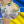 Владислава Коваль