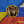 Євген Устименко