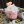Елена Мазун