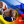 Євген Устименко