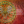 Юлія Тараненко