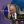 Андрій Коваленко