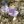 Анна Нестерова