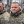 Валерій Лобовко