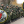 Юлія Закірова