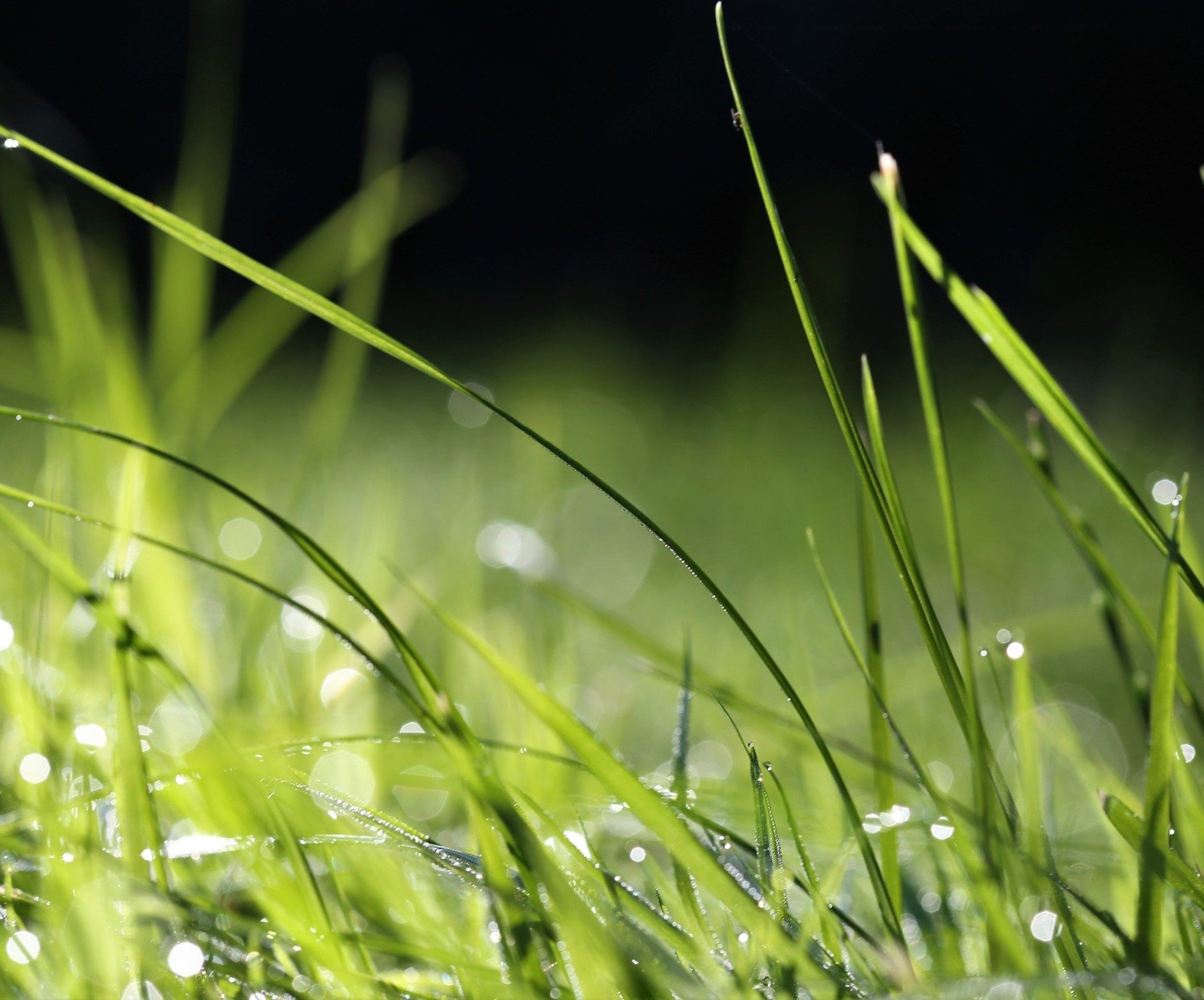 Трава зеленая, небо голубое или заметка о правильном цвете для стоковых фото