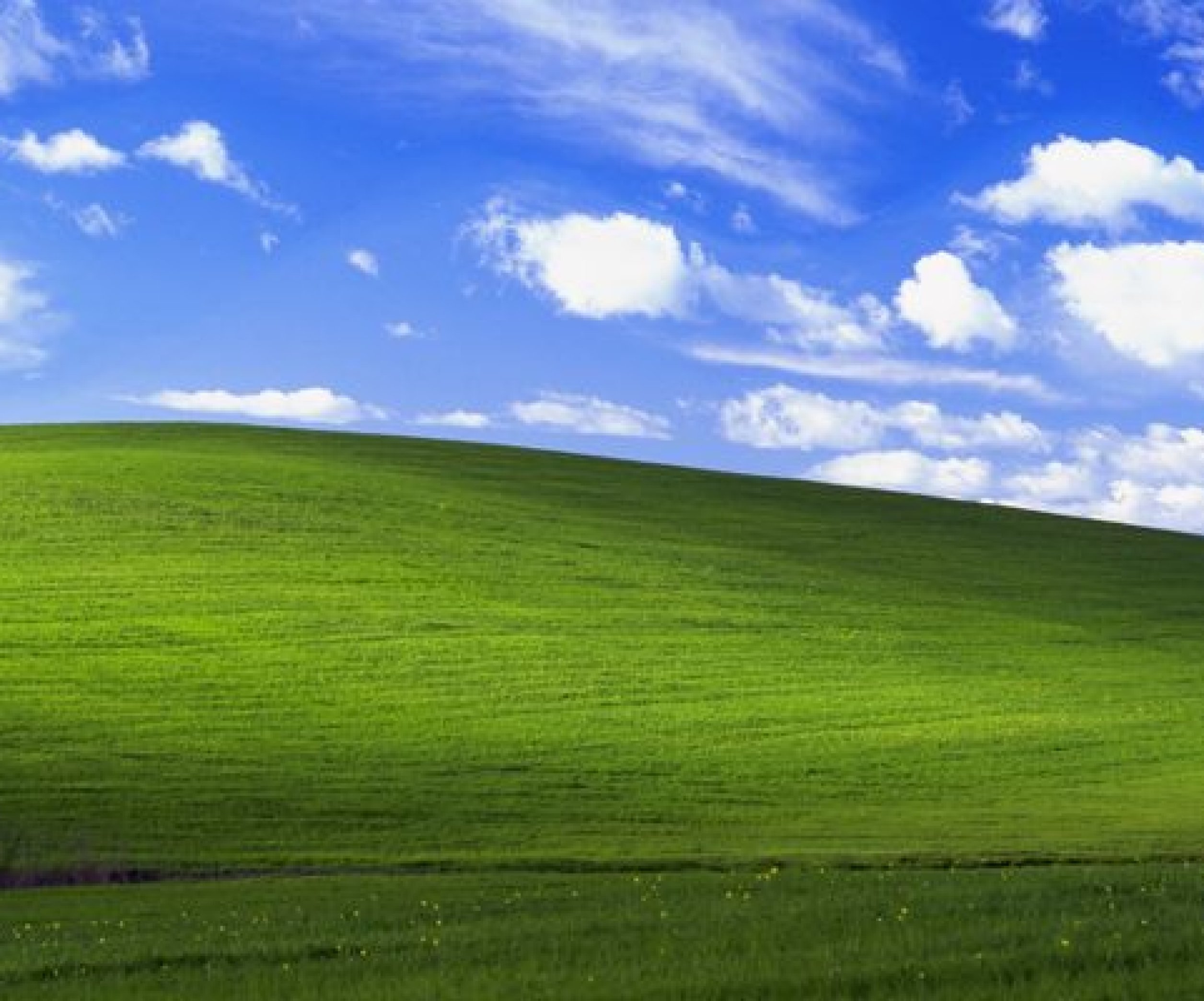 Как появился знаменитый фон Windows XP Bliss? - Телеграф