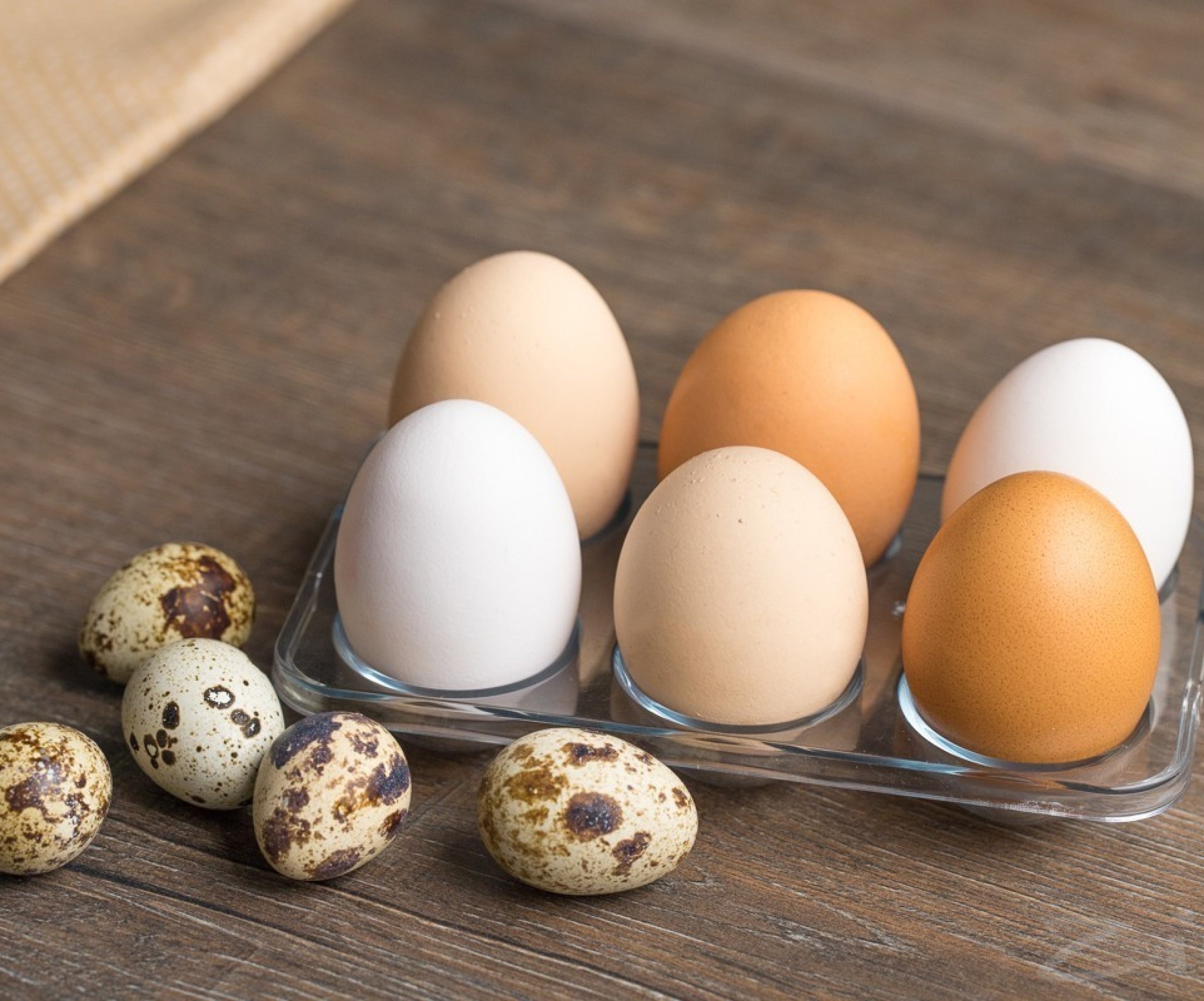 Перепелиные яйца vs куриные: что полезнее для здоровья