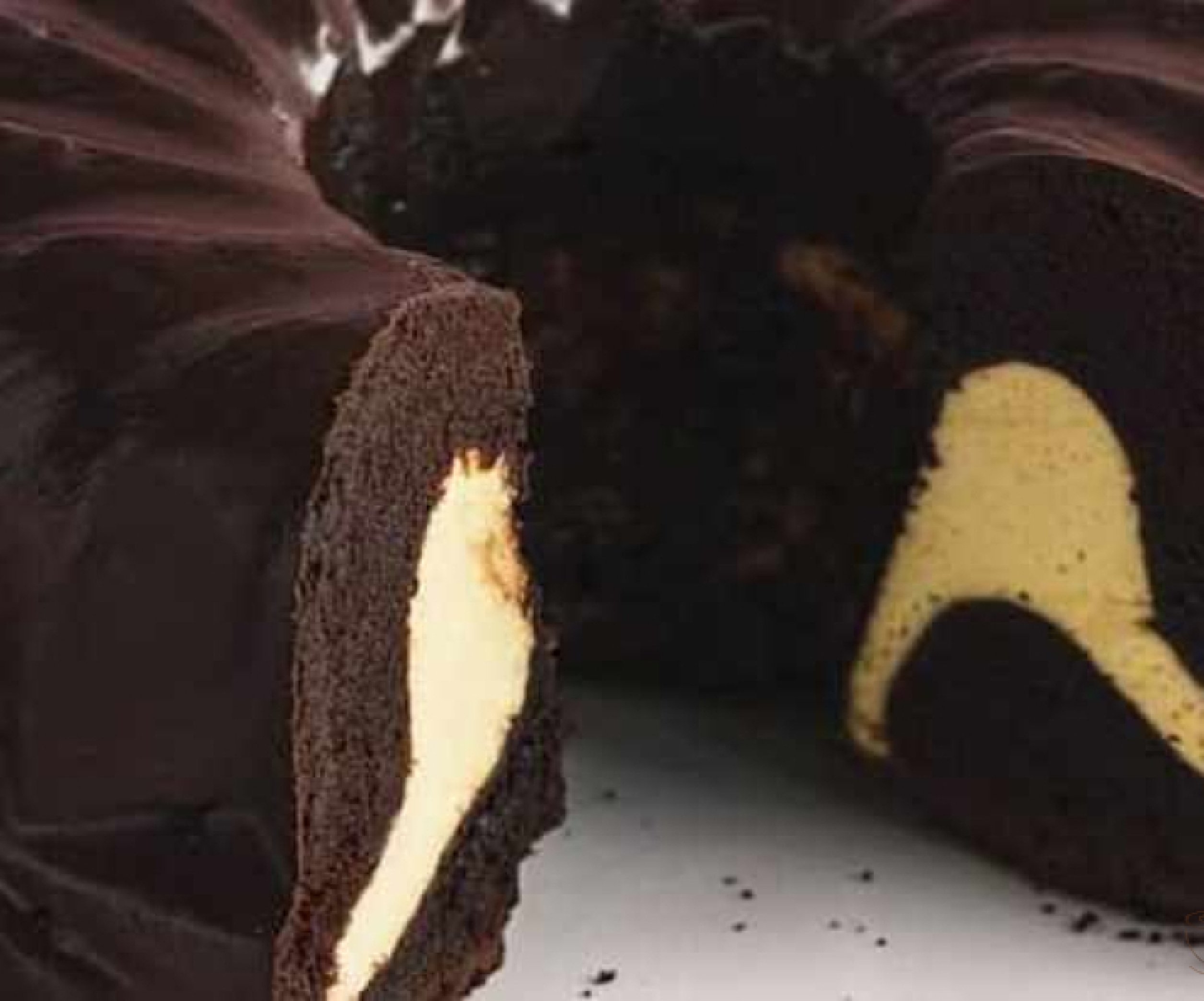Простой шоколадный кекс с какао - рецепт с фото пошагово / апекс124.рф