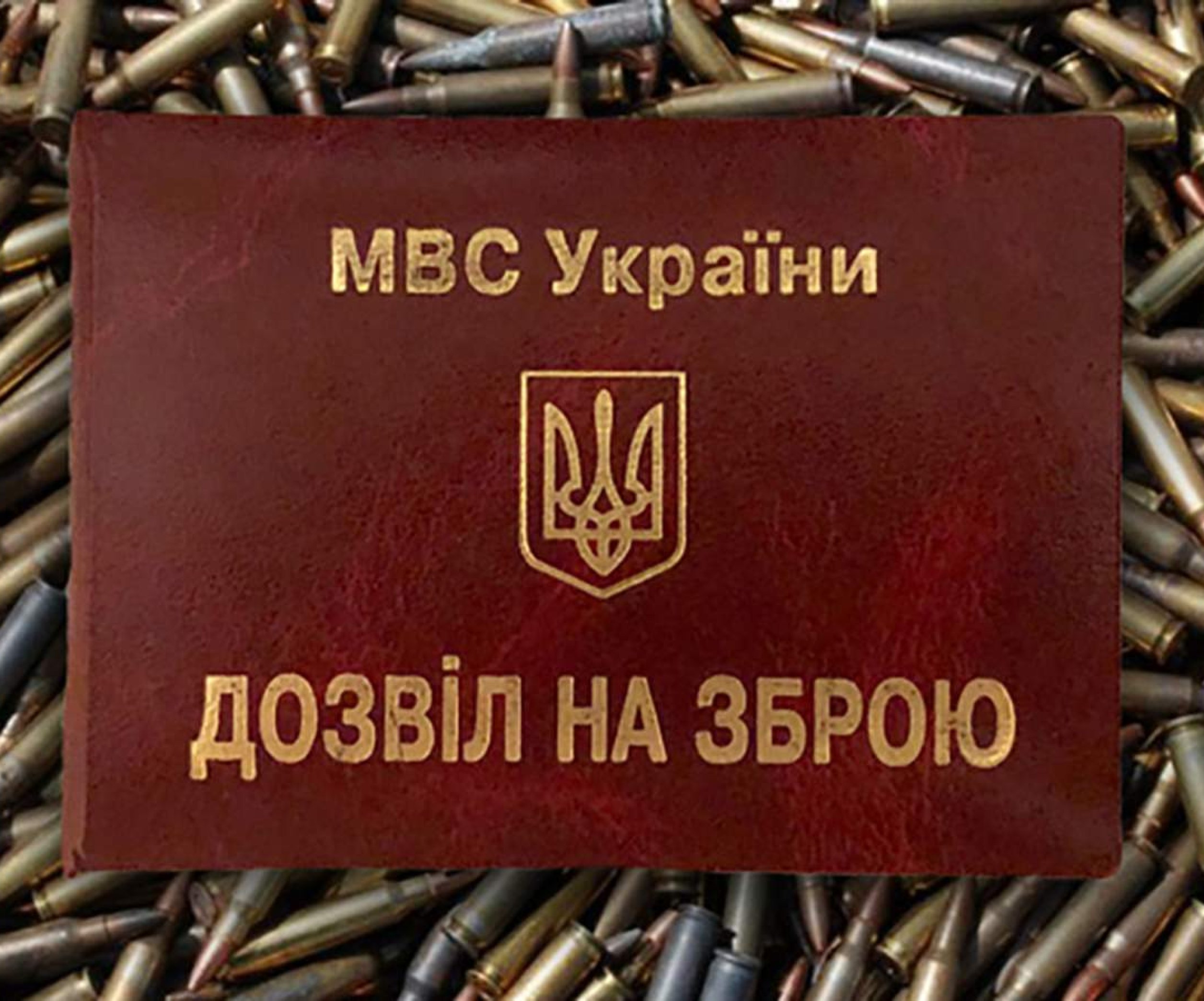 «Комсомолка» разбиралась, кто помогает неадекватным гражданам стать владельцами оружия самообороны.