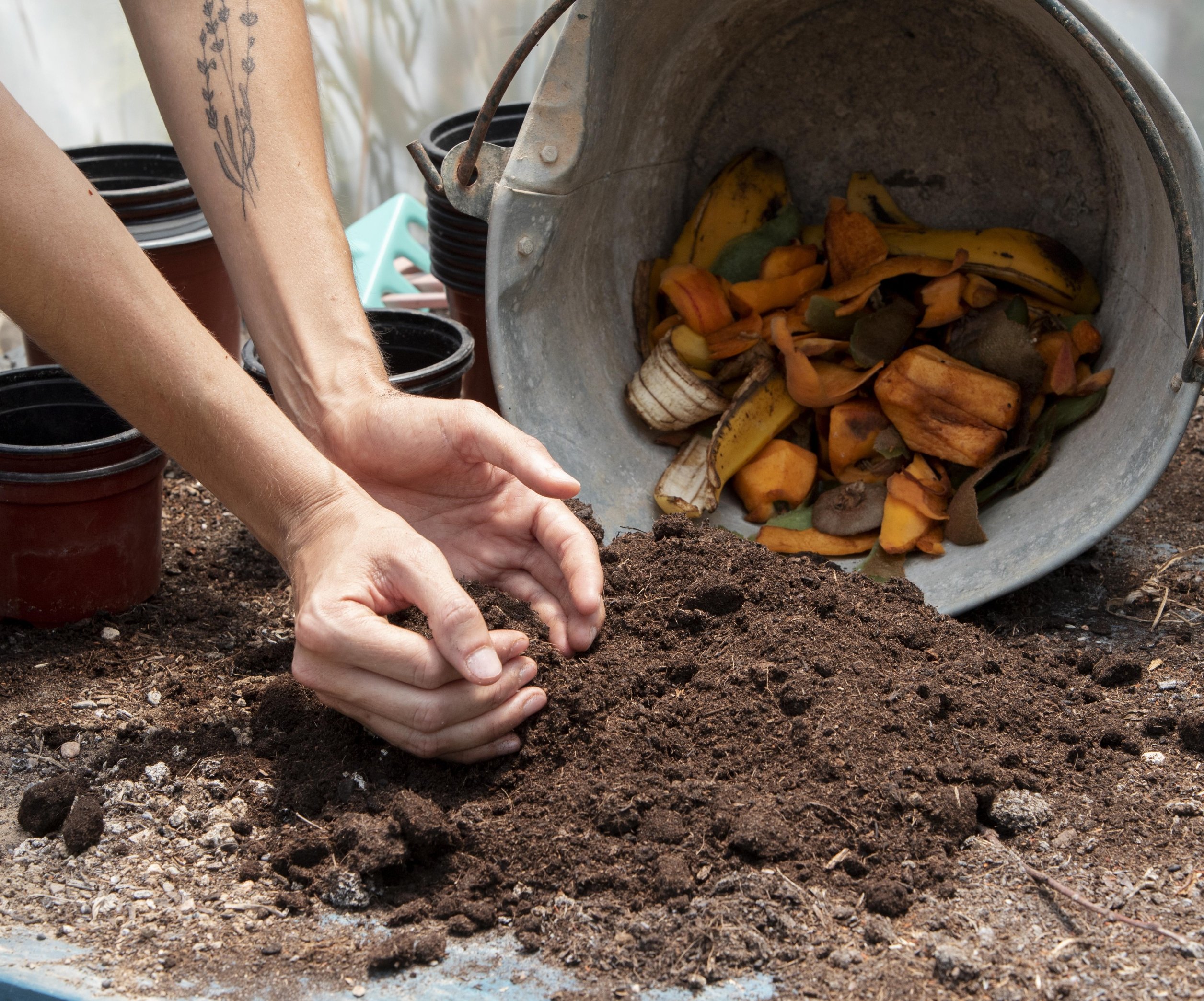 Органічні відходи для компосту: список корисних матеріалів