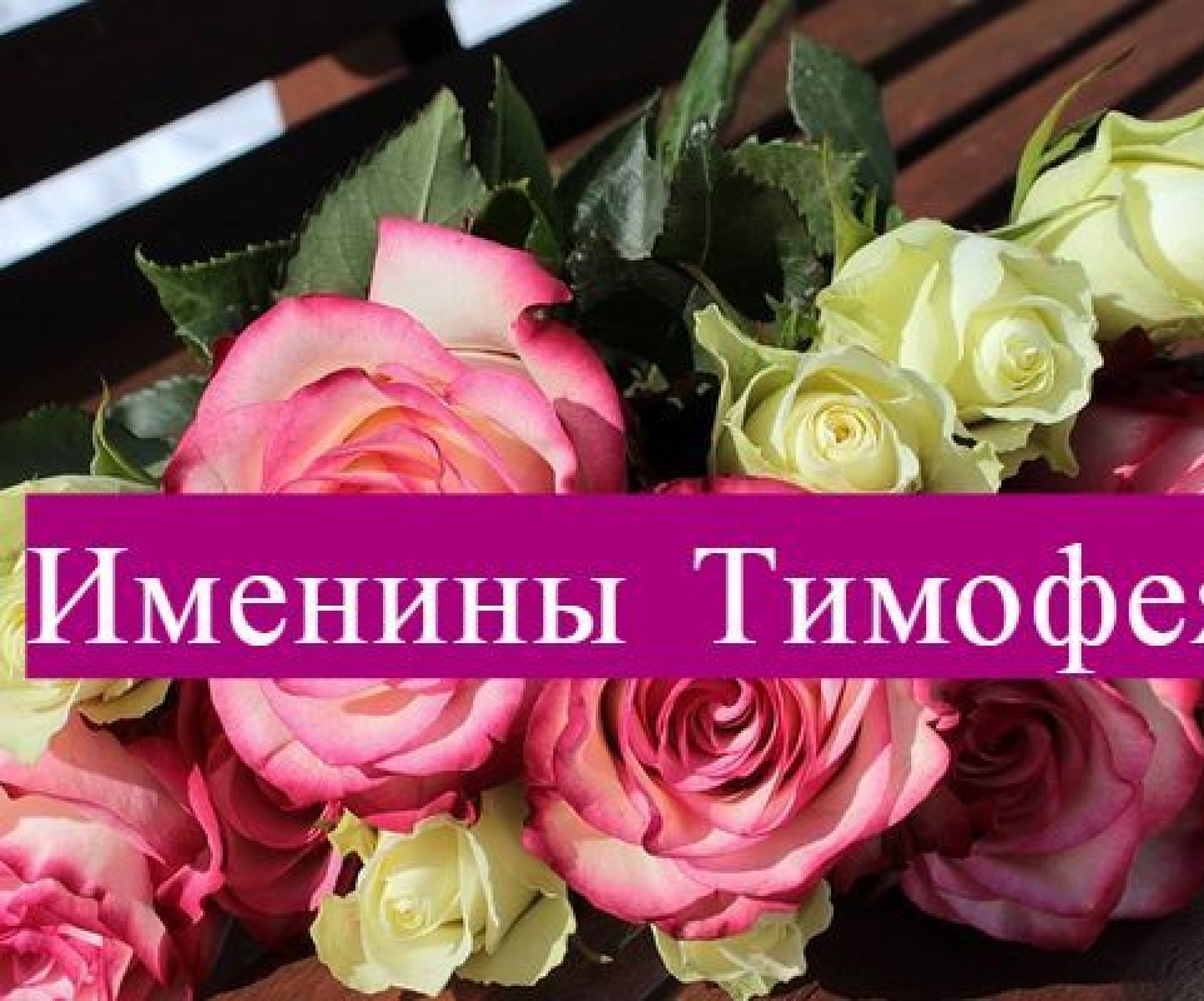 С днём ангела тимофея открытки. С днем ангела тимофей. С днём ангела тимофея открытки. Когда именины у тимофея. Поздравление тимошу с днём ангела.