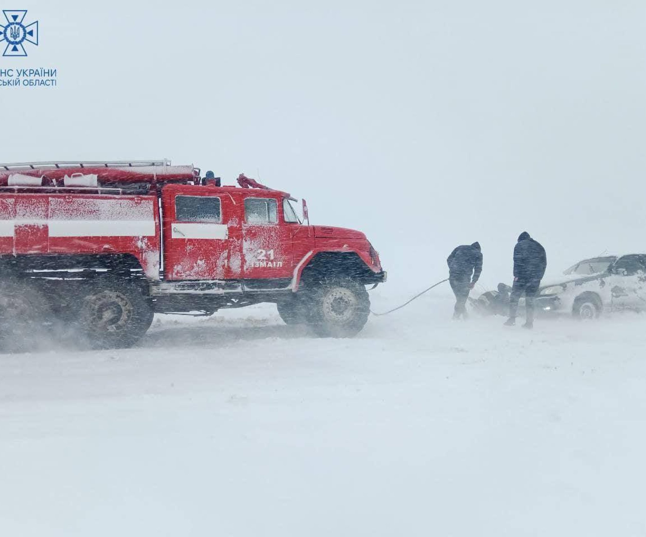 Метель на Одесщине валит деревья и заметает трассы (фото, видео)