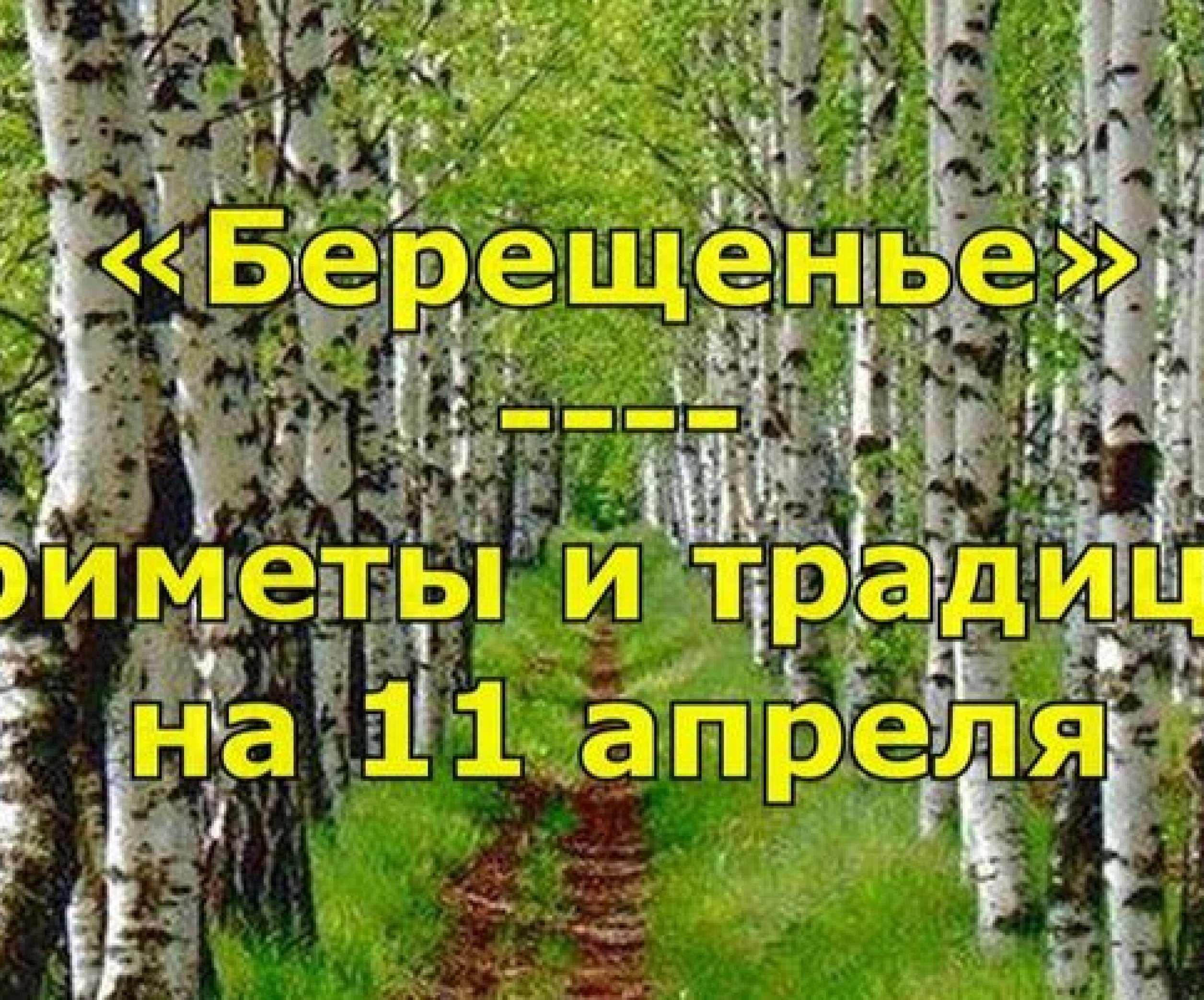 Приметы и обряды на 11 апреля - Березовый день, Берещенье - Телеграф