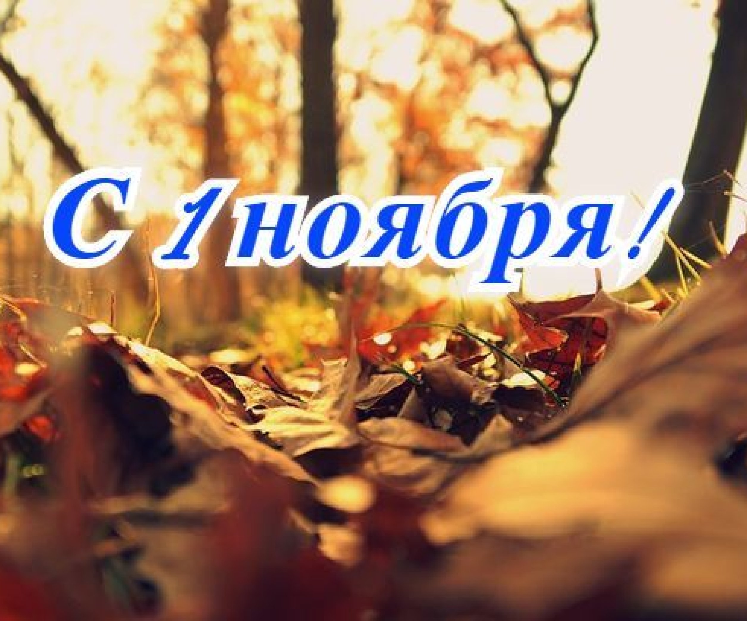 Здравствуй ноябрь картинки. С 1 ноября картинки. С 1 днем ноября картинки. С 1 ноября открытки красивые. 1 Ноября картинки красивые. Здравствуй ноябрь картинки. С 1 ноября картинки. С 1 днем ноября картинки. С 1 ноября открытки красивые. 1 Ноября картинки красивые.