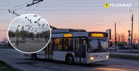 Славянск и троллейбус