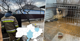 Затопленные домохозяйства