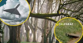 Лес, "Шахед", мина