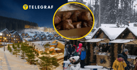 Отдых в Карпатах